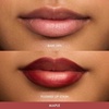 Summer Fridays Flushed Lip Stain Rosette(Maple)