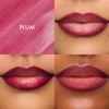 Summer Fridays Flushed Lip Stain Rosette(Plum)