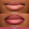 Summer Fridays Flushed Lip Stain Rosette(Rosette)