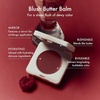Summer Fridays Dewy Berry Cheek Essentials Set – Blush Butter Balm Berry Spritz (0.14 Oz), The Blush Brush (1 Count), Hydrating Cream Color + Seamless Blending for a Natural Finish